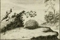 An illustration from Stichtelyke zinnebeelden, en Bybel-stoffen (1740)