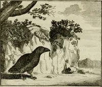 An illustration from Stichtelyke zinnebeelden, en Bybel-stoffen (1740)