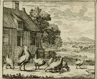 An illustration from Stichtelyke zinnebeelden, en Bybel-stoffen (1740)