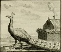 An illustration from Stichtelyke zinnebeelden, en Bybel-stoffen (1740)