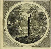 An illustration from Stichtelyke zinnebeelden, gepast op deugden en ondeugden (1767)