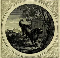 Picture 11 of 59 from Stichtelyke zinnebeelden, gepast op deugden en ondeugden (1767), leaf 52