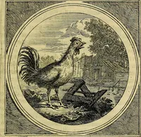 An illustration from Stichtelyke zinnebeelden, gepast op deugden en ondeugden (1767)