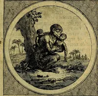 Picture 32 of 61 from Stichtelyke zinnebeelden gepast op deugden en ondeugden : in LVII tafereeelen vertoont (1723), leaf 150