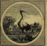 An illustration from Stichtelyke zinnebeelden gepast op deugden en ondeugden : in LVII tafereeelen vertoont (1723)
