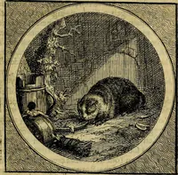 Picture 37 of 61 from Stichtelyke zinnebeelden gepast op deugden en ondeugden : in LVII tafereeelen vertoont (1723), leaf 166