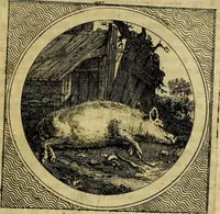 An illustration from Stichtelyke zinnebeelden gepast op deugden en ondeugden : in LVII tafereeelen vertoont (1723)