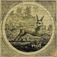 An illustration from Stichtelyke zinnebeelden gepast op deugden en ondeugden : in LVII tafereeelen vertoont (1723)