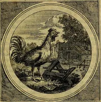 An illustration from Stichtelyke zinnebeelden gepast op deugden en ondeugden : in LVII tafereeelen vertoont (1723)