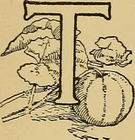 An illustration from Stick-and-pea plays; pastimes for the children's year (1899)