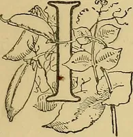 Picture 13 of 41 from Stick-and-pea plays; pastimes for the children's year (1899), leaf 54