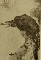 An illustration from Stilanalysen als Einführung in die japanische Malerei (1908)
