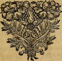 An illustration from Stile universel dresse pour toutes les cours et jurisdictions du royaume : suivant l'ordonnance de Louis XIV ... du mois d'Avril 1667 (1676)