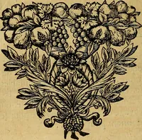 An illustration from Stile universel dresse pour toutes les cours et jurisdictions du royaume : suivant l'ordonnance de Louis XIV ... du mois d'Avril 1667 (1676)