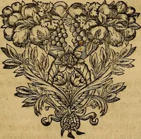 An illustration from Stile universel dresse pour toutes les cours et jurisdictions du royaume : suivant l'ordonnance de Louis XIV ... du mois d'Avril 1667 (1676)