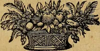 An illustration from Stile universel dresse pour toutes les cours et jurisdictions du royaume : suivant l'ordonnance de Louis XIV ... du mois d'Avril 1667 (1676)