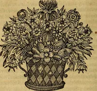 An illustration from Stile universel dresse pour toutes les cours et jurisdictions du royaume : suivant l'ordonnance de Louis XIV ... du mois d'Avril 1667 (1676)