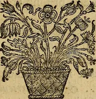 An illustration from Stile universel dresse pour toutes les cours et jurisdictions du royaume : suivant l'ordonnance de Louis XIV ... du mois d'Avril 1667 (1676)