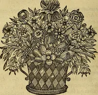 Picture 56 of 59 from Stile universel dresse pour toutes les cours et jurisdictions du royaume : suivant l'ordonnance de Louis XIV ... du mois d'Avril 1667 (1676), leaf 443