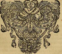 An illustration from Stile universel dresse pour toutes les cours et jurisdictions du royaume : suivant l'ordonnance de Louis XIV ... du mois d'Avril 1667 (1676)