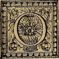 An illustration from Stile universel dresse pour toutes les cours et jurisdictions du royaume : suivant l'ordonnance de Louis XIV ... du mois d'Avril 1667 (1676)