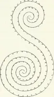 An illustration from Stilfragen : Grundlegungen zu einer Geschichte der Ornamentik (1893)