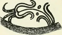 An illustration from Stilfragen : Grundlegungen zu einer Geschichte der Ornamentik (1893)