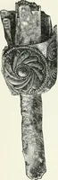 An illustration from Stilfragen : Grundlegungen zu einer Geschichte der Ornamentik (1893)