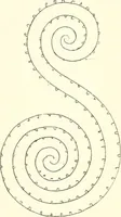 An illustration from Stilfragen : Grundlegungen zu einer Geschichte der Ornamentik (1893)