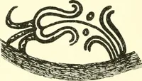 An illustration from Stilfragen : Grundlegungen zu einer Geschichte der Ornamentik (1893)