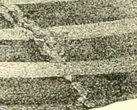 An illustration from Stilfragen : Grundlegungen zu einer Geschichte der Ornamentik (1893)