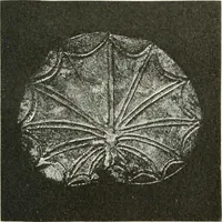 An illustration from Stilfragen : Grundlegungen zu einer Geschichte der Ornamentik (1893)
