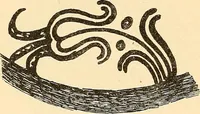 An illustration from Stilfragen : Grundlegungen zu einer Geschichte der Ornamentik (1893)