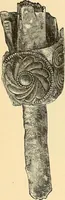 An illustration from Stilfragen : Grundlegungen zu einer Geschichte der Ornamentik (1893)