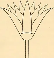 An illustration from Stilfragen : Grundlegungen zu einer Geschichte der Ornamentik (1893)