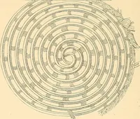 Picture 22 of 154 from Stilfragen : Grundlegungen zu einer Geschichte der Ornamentik (1893), leaf 99