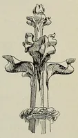 Picture 13 of 16 from Stili di architettura; con 114 illustrazioni disegnate dall'autore e 64 tavole fuori testo (1914), leaf 241