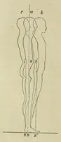An illustration from Stil- und Kompositionslehre für Maler : unter besonderer Berücksichtigung der Farbengebung (1903)