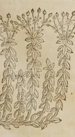 An illustration from Stirpium aduersaria noua, : perfacilis vestigatio luculentaqne [sic] accessio ad priscorum, presertim dioscoridis & recentiorum, materiam medica. Quibus propediem accedet altera pars. Qua coniectaneorum de plantis appendix, de succis medicatis et metallicis sectio, antiquae et nouatae medicine lectiorum remedioru[m] thesaurus opulentissimus, de succedaneis libellus continentur. (1571)