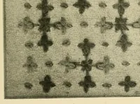 An illustration from Stitch patterns & design for embroidery (1929)