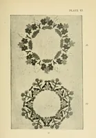 Picture 15 of 20 from Stitch patterns & design for embroidery (1929), leaf 39