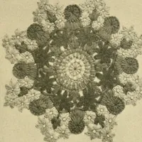 Picture 20 of 20 from Stitch patterns & design for embroidery (1929), leaf 51