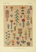 Picture 1 of 20 from Stitch patterns & design for embroidery (1929), leaf 6