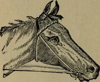 An illustration from St. James Hotel - two blocks from C.P.R. Depot, opposite G.T.R. depot (1905)