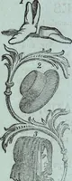 An illustration from The St. James's magazine, and heraldic and historical register (1850)
