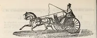 An illustration from The St. James's magazine, and heraldic and historical register (1850)