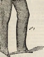 An illustration from The St. James's magazine, and heraldic and historical register (1850)