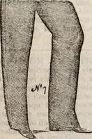 An illustration from The St. James's magazine, and heraldic and historical register (1850)