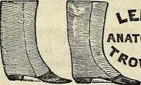 An illustration from The St. James's magazine, and heraldic and historical register (1850)