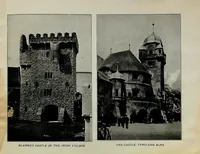 Picture 16 of 17 from The St. Louis Exposition, 1904 (1904), leaf 31